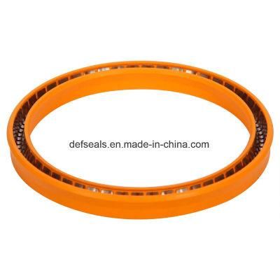 Spring Energized PTFE Sealing with V Ring