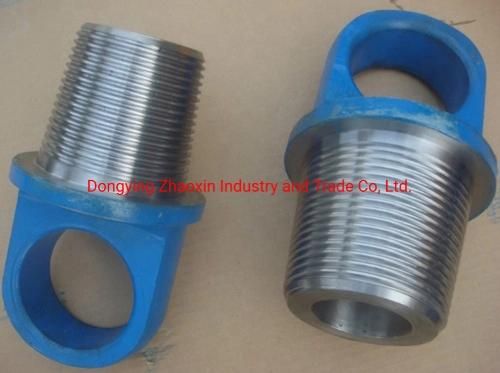 API Standard Lifting Bail/Lifting Cap/Lifting Plug