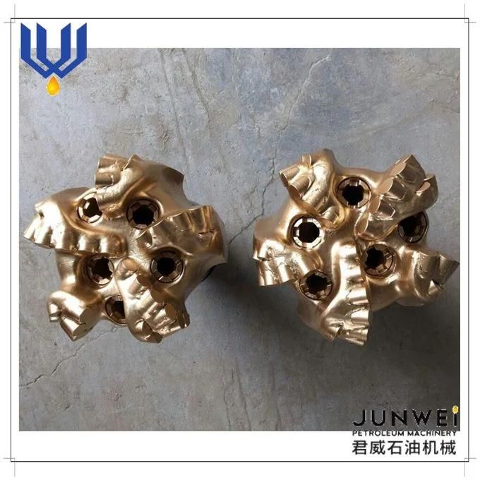 7 1/2′′ Petroleum PDC Oil Bit with Discount Price