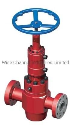 API 6A Hydraulic Gate Valve W/Manual Locking