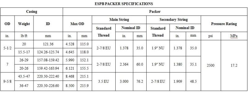 Espb Electric Submersible Pump Packer