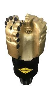 6 &quot;Dm542h Dm Series Diamond PDC Drill Bits; Oil Rig