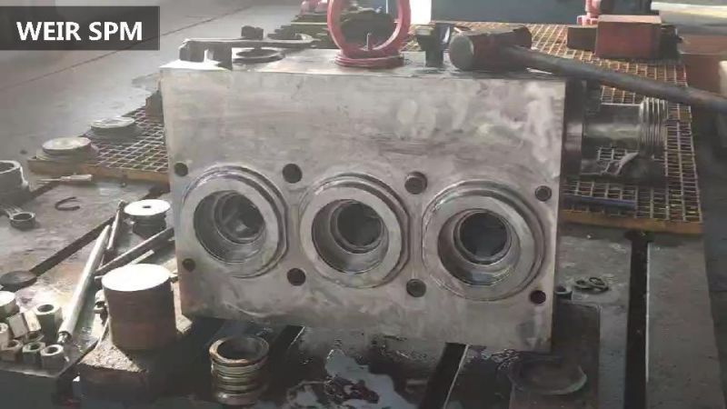Tws 600 Pump Head Cylinder Head Assembly