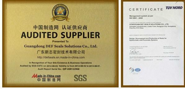 Spring Energized PTFE Sealing with V Ring