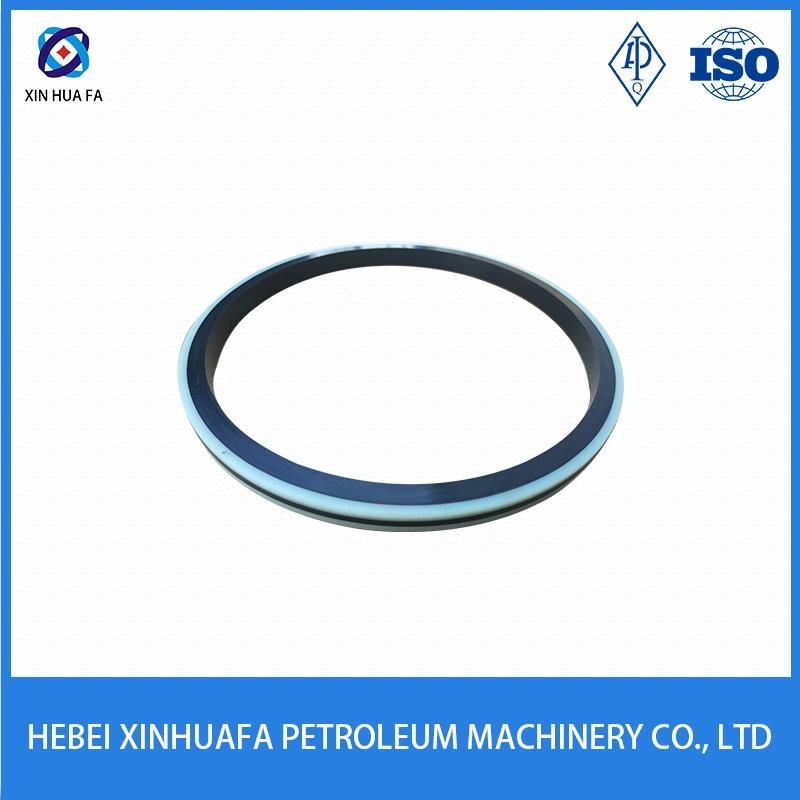 Customized Double Lip NBR Rubber Oil Seal for Mud Pump Parts