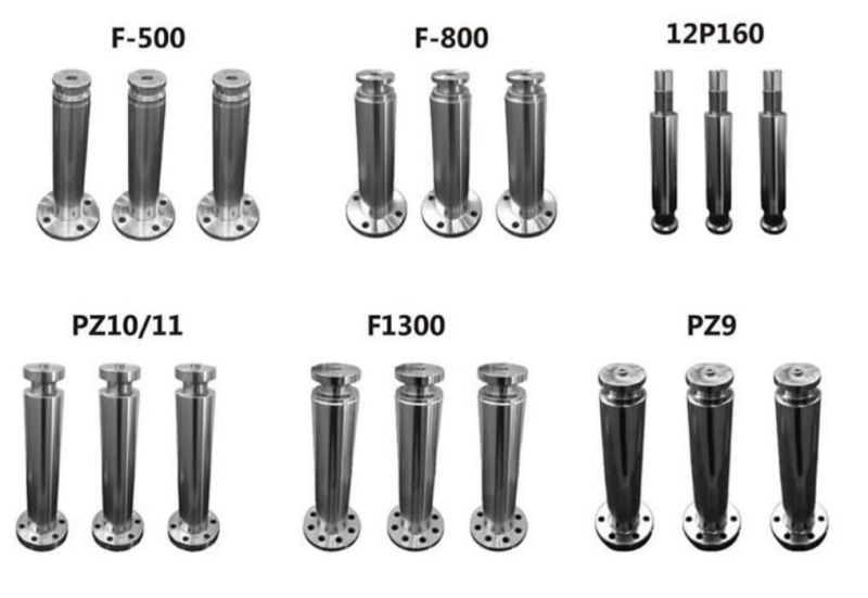 Chinese Factory Price of Oil Drilling Triplex or Duplex Mud Pump Parts Extension Rod/ Pony Rod Exchangeable with Nov