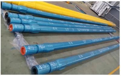 Downhole Motors for Petroleum Drilling