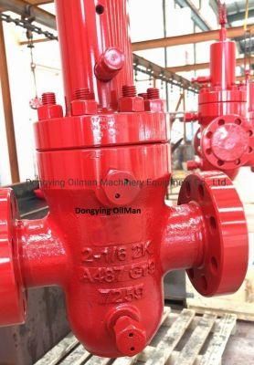 API 6A 6&quot; Expandable Hydraulic Mud Gate Valves Flange Connection