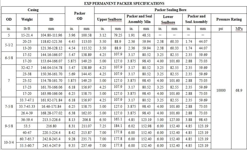 Exp Permanent Packer Made in China