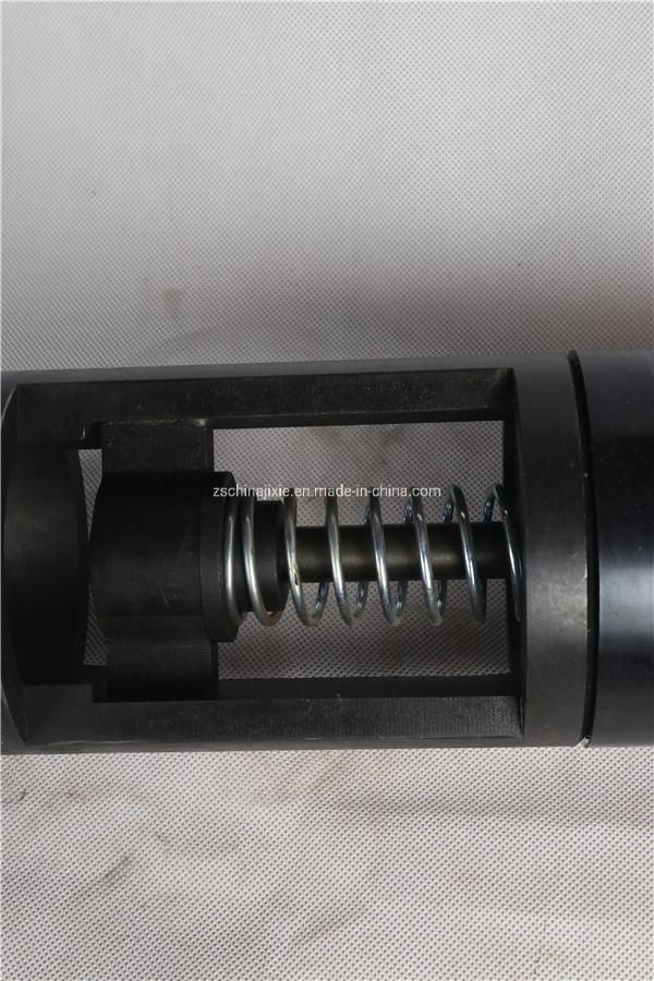 Drill Pipe Float Sub with Plunger and Flapper Type