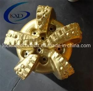 High Quality PDC Drilling Bit for Oil/Gas/Mining Well Drilling