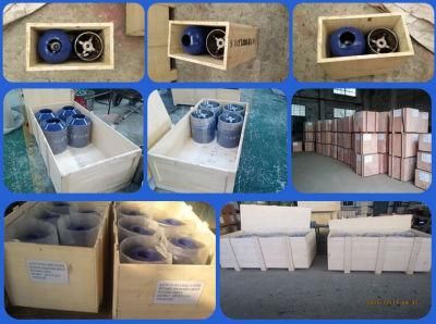 API Float Equipment Auto Fill Cement Float Shoe and Collar
