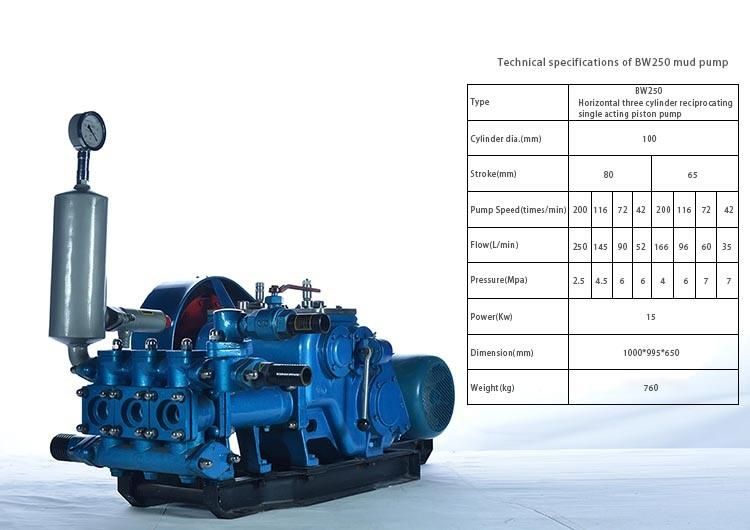 Dminingwell China Professional Manufacture Skid Mounted Bw250 Double Piston Water Well Drilling Mud Pump for Sale