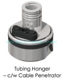 API 6A Tubing Hanger of Double Tubing