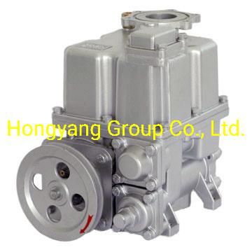 Vane Pump for Fuel Dispenser with High Quality