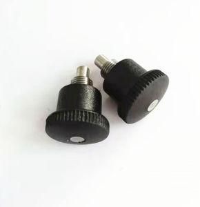 M10*1*6 Plunger Piston with Lock