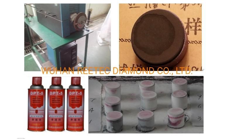 Premiun PDC Cutters Used for Oil and Gas Drill Bits