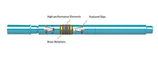 High Temperature and High Pressure Packer