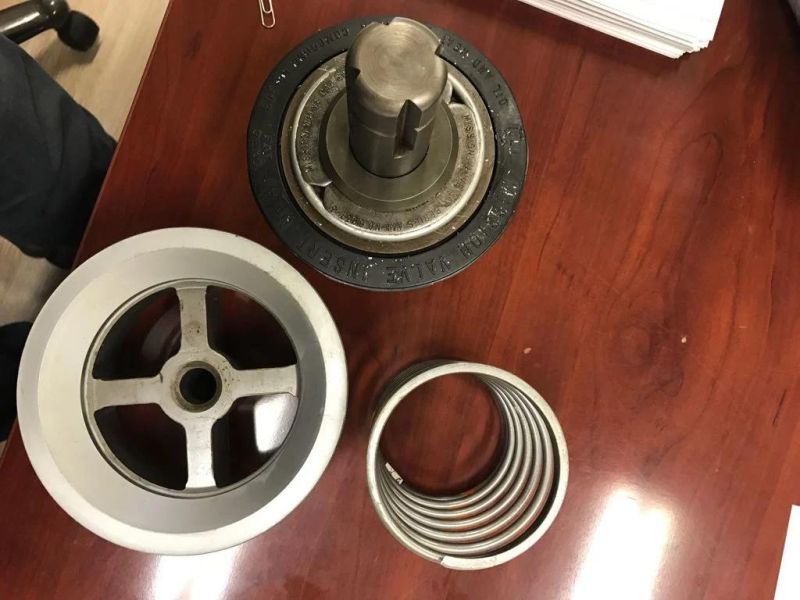 Valve Spring 2116913, 78A139, 78h44, Mk-5710-115/Valve Spring for Drilling Mud Pump