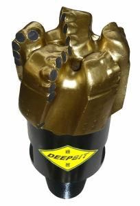 5-7/8 &quot;Dm554D Dm Series Diamond PDC Drill Bits; Oil Rig