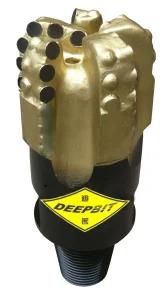 4 5/8&quot; Dm554 Dm Series Diamond PDC Drill Bits; Oil Rig