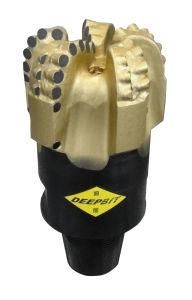 8-1/8&quot; Dm653h Dm Series Diamond PDC Drill Bits; Oil Rig