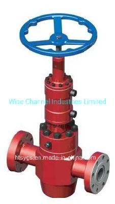 API 6A Hydraulic Gate Valve W/Manual Locking