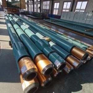 Downhole Motor for Oil &amp; Gas Well Drilling