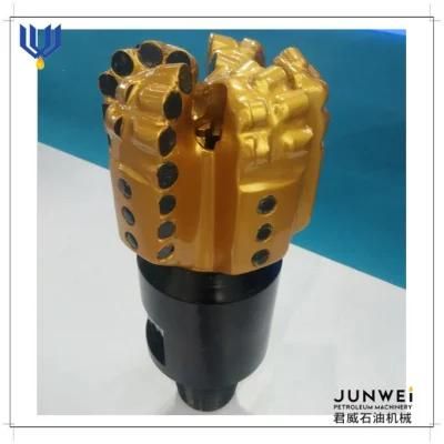 API Standard 3 7/8&prime;&prime;-17 1/2&prime;&prime; PDC Drill Bit