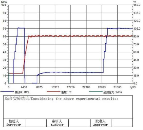 API 11d1 Frac Plug