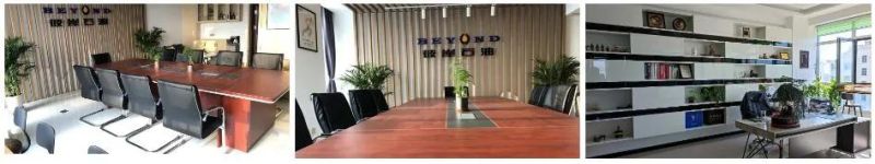 Beyond API Petroleum Equipment Wellhead Devices Drilling Double RAM Bop Blowout Preventer