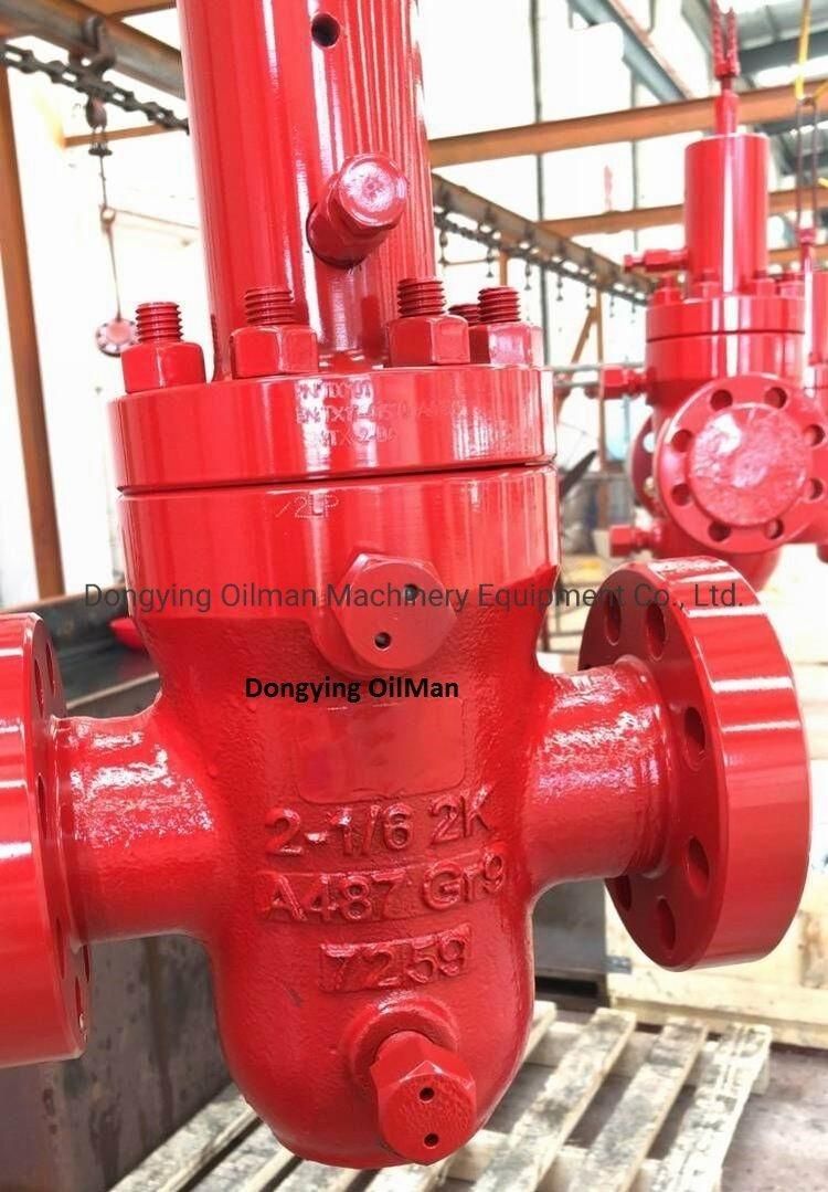 API 6A 6" Expandable Hydraulic Mud Gate Valves Flange Connection