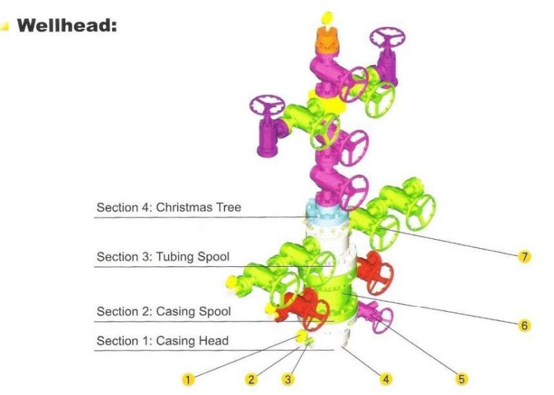 Wellhead Equipment Casing Head Casing Head Body Four-Way Casing Head Laval Hanger Series Tfz 35-70A Casing Head Wellhead Equipment