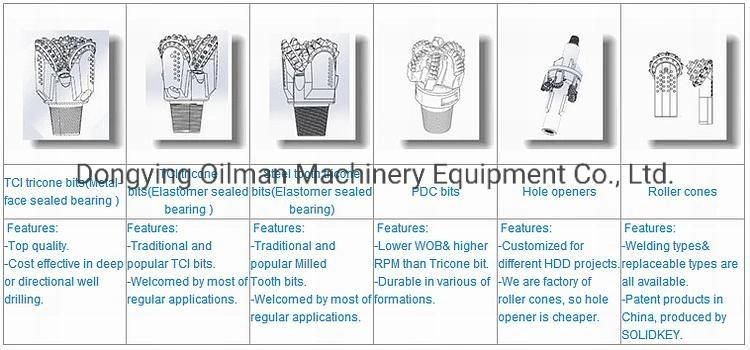 Factory Price 3 Blades Wings Diamond PDC Cutter Drilling Drag Bit