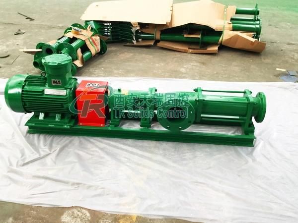 API / ISO Certificated Centrifuge Screw Type Pump