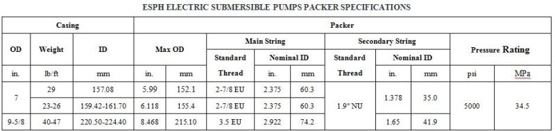Esph Electric Submersible Pump Packer