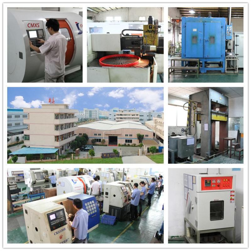 Spring Energized PTFE Sealing with V Ring