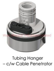 API 6A Double Tubing Hanger