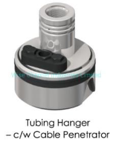 Tubing Hanger of Single Tubing