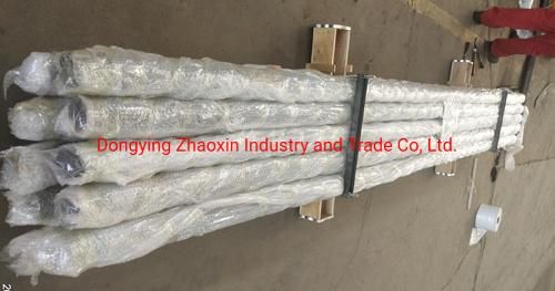 Downhole Gas Anchor for P. C. Pump