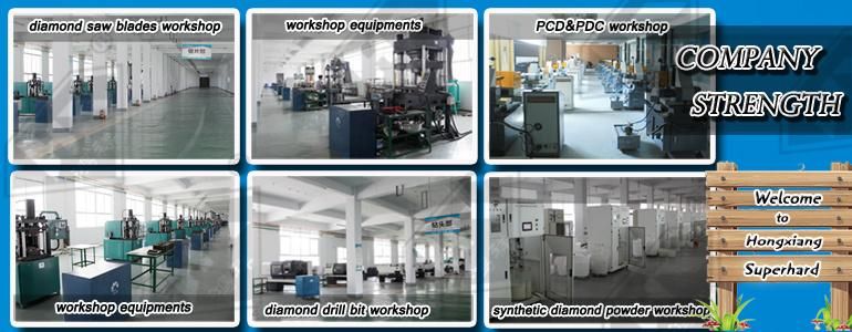 China Polycrystalline Diamond Compact Bit /PDC
