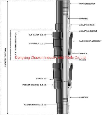 Cup Packer for Sealing Pipe String