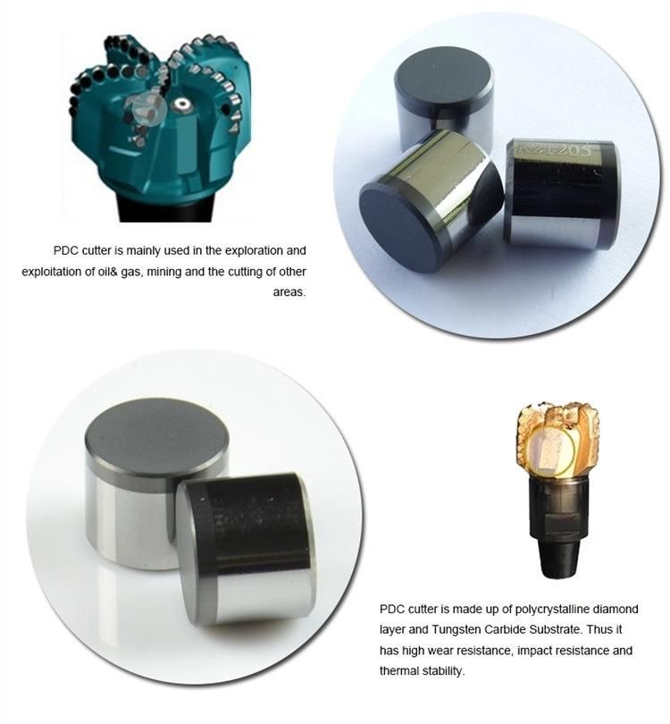 China Diamond Insert PDC for Drill Bit