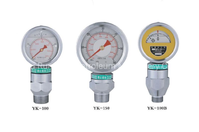 Heavy Duty Pressure Gauge (SS/BRASS) High Quality Pressure Gauge Yk Series Type D Mud Pump Gauge Type F Mud Pump Gauge