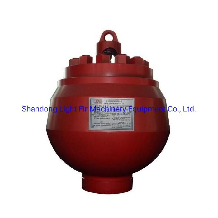 API 7K K10/K20 Kb45 Kb75 Mud Pump Pulsation Dampener Assembly/Air Bag Assembly